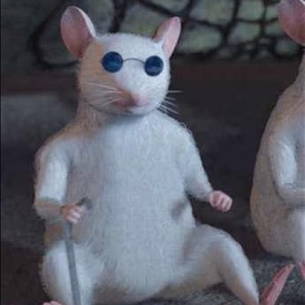 Meet your Posher, Diego